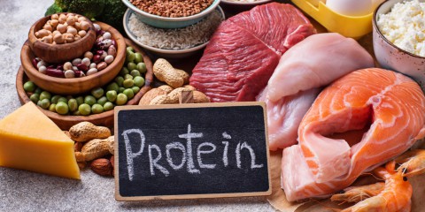 Kuo naudingi baltymai mūsų organizmui? 